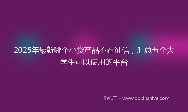 2025年最新哪个小贷产品不看征信，汇总五个大学生可以使用的平台