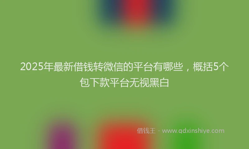 2025年最新借钱转微信的平台有哪些，概括5个包下款平台无视黑白