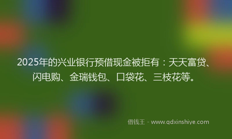 2025年的兴业银行预借现金被拒有：天天富贷、闪电购、金瑞钱包、口袋花、三枝花等。