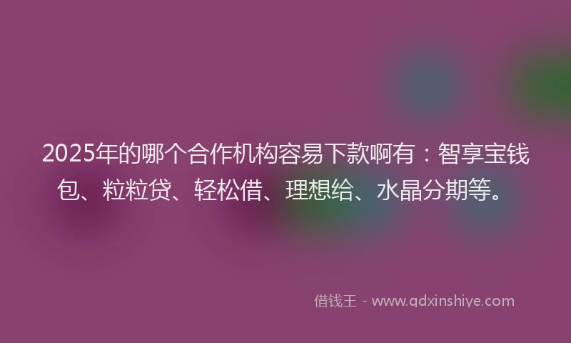 2025年的哪个合作机构容易下款啊有：智享宝钱包、粒粒贷、轻松借、理想给、水晶分期等。