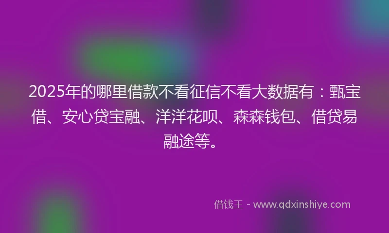 2025年的哪里借款不看征信不看大数据有：甄宝借、安心贷宝融、洋洋花呗、森森钱包、借贷易融途等。