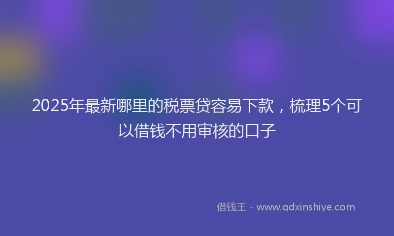 2025年最新哪里的税票贷容易下款，梳理5个可以借钱不用审核的口子