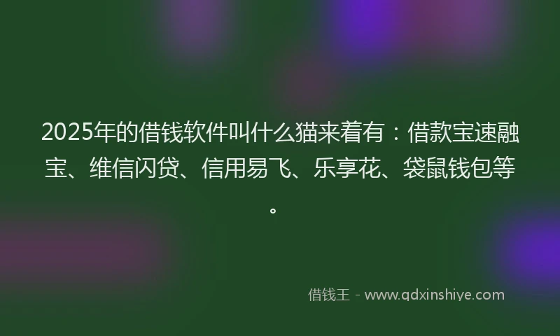 2025年的借钱软件叫什么猫来着有：借款宝速融宝、维信闪贷、信用易飞、乐享花、袋鼠钱包等。