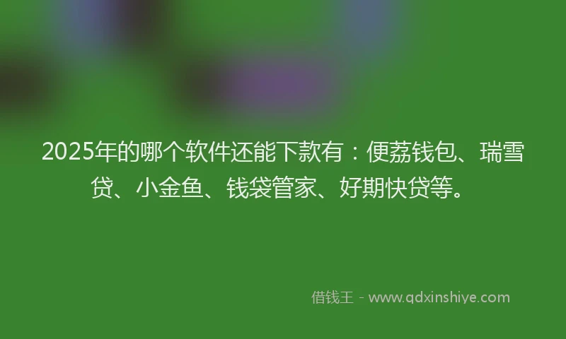 2025年的哪个软件还能下款有：便荔钱包、瑞雪贷、小金鱼、钱袋管家、好期快贷等。