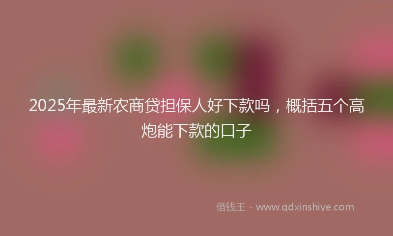 2025年最新农商贷担保人好下款吗，概括五个高炮能下款的口子