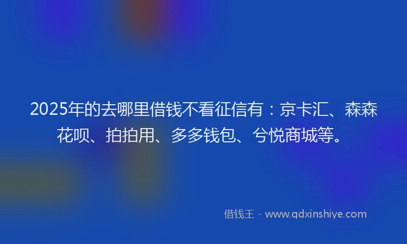 2025年的去哪里借钱不看征信有：京卡汇、森森花呗、拍拍用、多多钱包、兮悦商城等。
