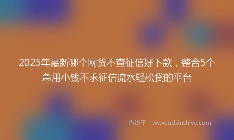 2025年最新哪个网贷不查征信好下款，整合5个急用小钱不求征信流水轻松贷的平台