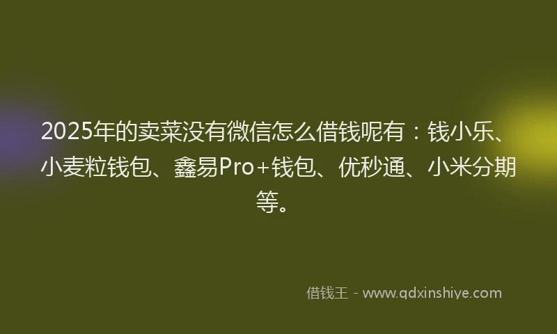 2025年的卖菜没有微信怎么借钱呢有：钱小乐、小麦粒钱包、鑫易Pro+钱包、优秒通、小米分期等。