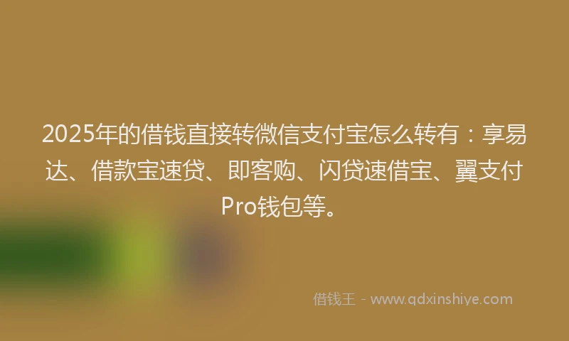 2025年的借钱直接转微信支付宝怎么转有：享易达、借款宝速贷、即客购、闪贷速借宝、翼支付Pro钱包等。