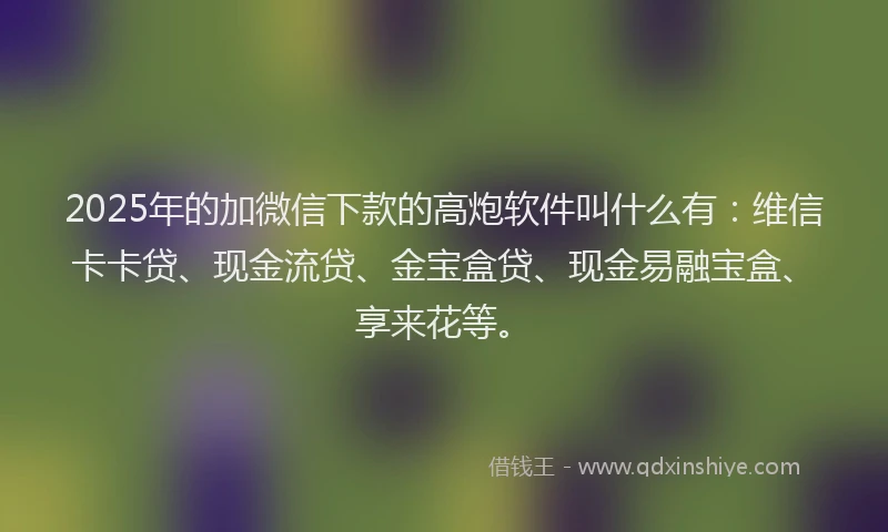 2025年的加微信下款的高炮软件叫什么有：维信卡卡贷、现金流贷、金宝盒贷、现金易融宝盒、享来花等。
