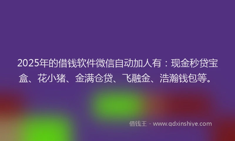 2025年的借钱软件微信自动加人有：现金秒贷宝盒、花小猪、金满仓贷、飞融金、浩瀚钱包等。