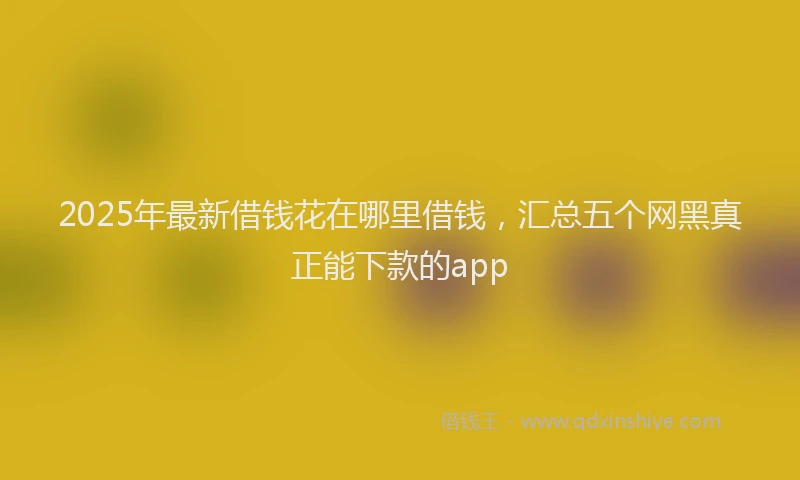 2025年最新借钱花在哪里借钱，汇总五个网黑真正能下款的app
