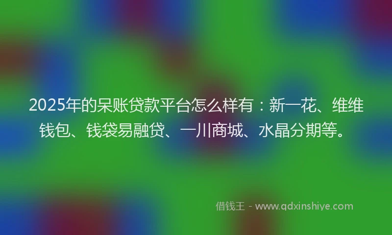 2025年的呆账贷款平台怎么样有：新一花、维维钱包、钱袋易融贷、一川商城、水晶分期等。