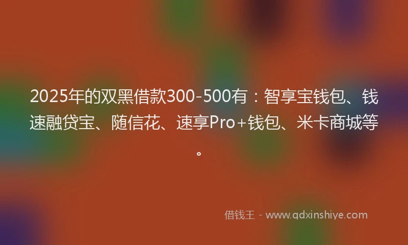 2025年的双黑借款300-500有：智享宝钱包、钱速融贷宝、随信花、速享Pro+钱包、米卡商城等。