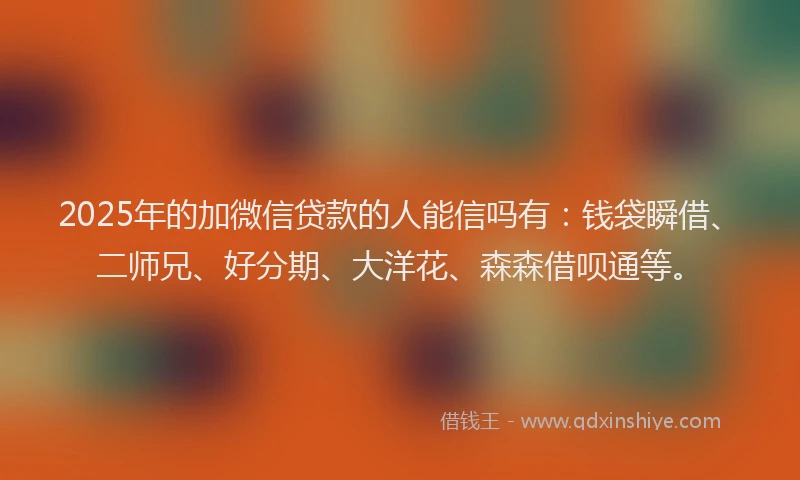 2025年的加微信贷款的人能信吗有：钱袋瞬借、二师兄、好分期、大洋花、森森借呗通等。