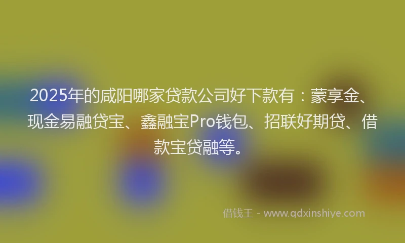 2025年的咸阳哪家贷款公司好下款有：蒙享金、现金易融贷宝、鑫融宝Pro钱包、招联好期贷、借款宝贷融等。