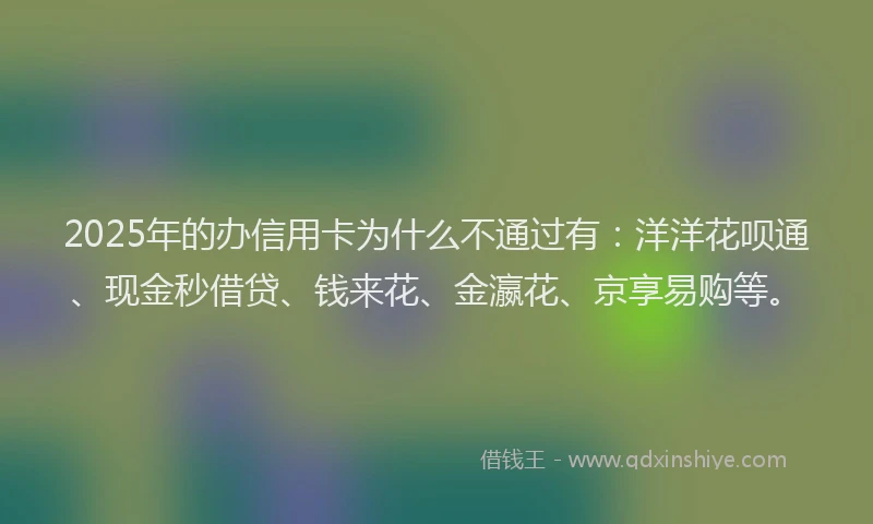 2025年的办信用卡为什么不通过有：洋洋花呗通、现金秒借贷、钱来花、金瀛花、京享易购等。