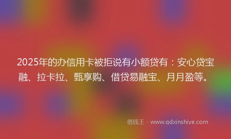 2025年的办信用卡被拒说有小额贷有：安心贷宝融、拉卡拉、甄享购、借贷易融宝、月月盈等。