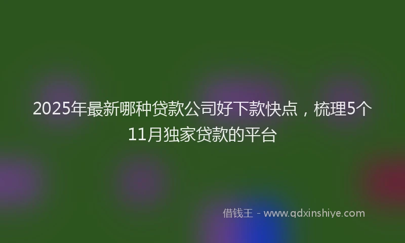2025年最新哪种贷款公司好下款快点，梳理5个11月独家贷款的平台