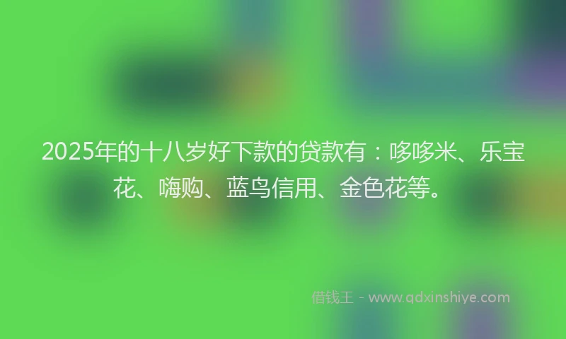 2025年的十八岁好下款的贷款有：哆哆米、乐宝花、嗨购、蓝鸟信用、金色花等。