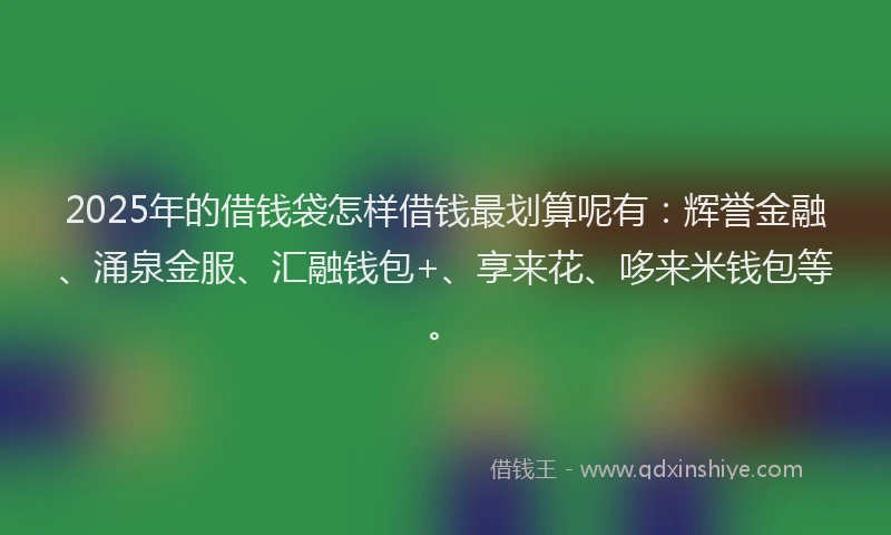 2025年的借钱袋怎样借钱最划算呢有：辉誉金融、涌泉金服、汇融钱包+、享来花、哆来米钱包等。
