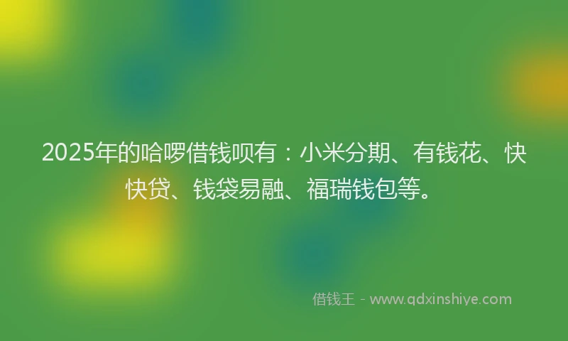 2025年的哈啰借钱呗有:小米分期、有钱花、快快贷、钱袋易融、福瑞钱包等。
