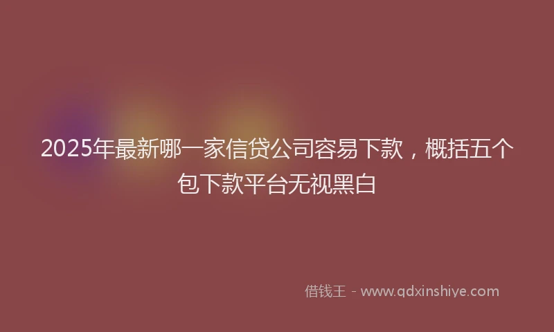 2025年最新哪一家信贷公司容易下款，概括五个包下款平台无视黑白