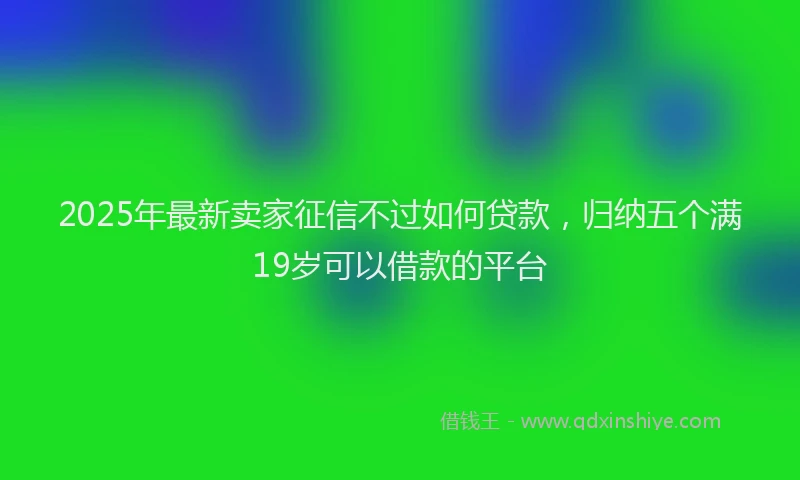 2025年最新卖家征信不过如何贷款，归纳五个满19岁可以借款的平台