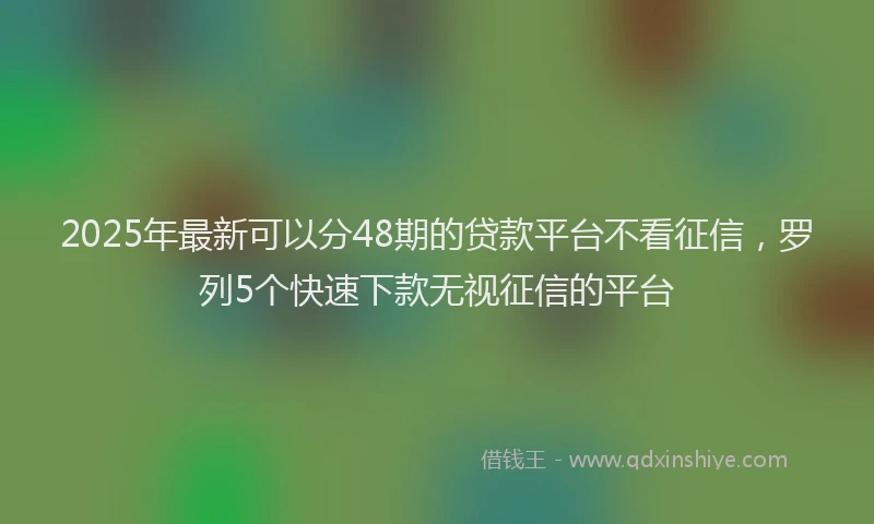 2025年最新可以分48期的贷款平台不看征信，罗列5个快速下款无视征信的平台