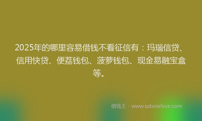 2025年的哪里容易借钱不看征信有：玛瑙信贷、信用快贷、便荔钱包、菠萝钱包、现金易融宝盒等。