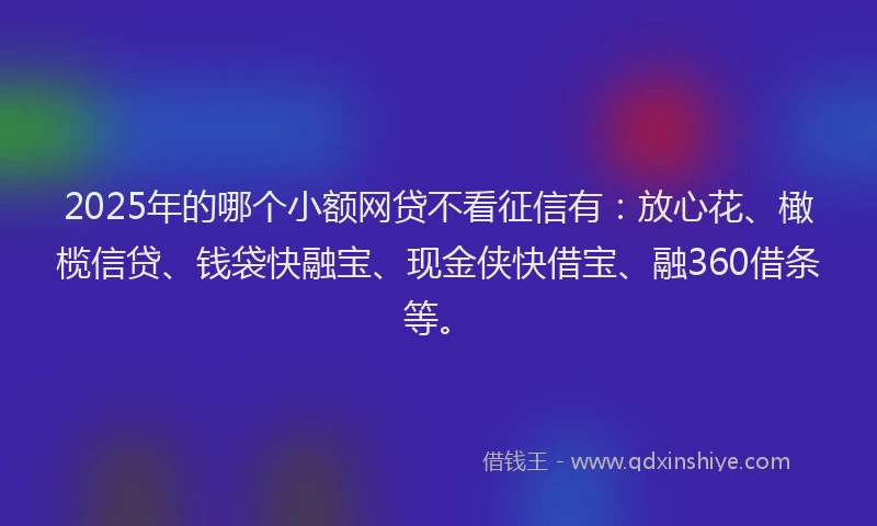 2025年的哪个小额网贷不看征信有：放心花、橄榄信贷、钱袋快融宝、现金侠快借宝、融360借条等。