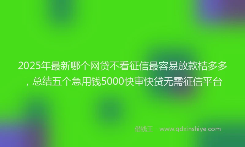 2025年最新哪个网贷不看征信最容易放款桔多多，总结五个急用钱5000快审快贷无需征信平台
