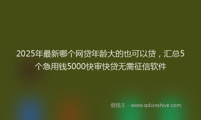 2025年最新哪个网贷年龄大的也可以贷，汇总5个急用钱5000快审快贷无需征信软件
