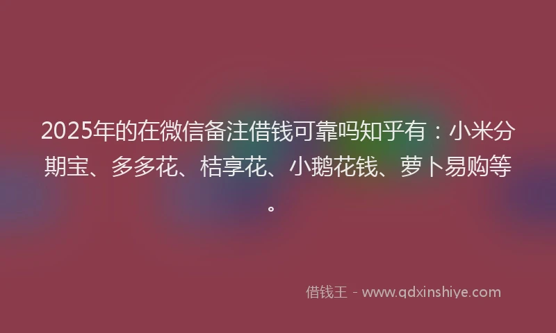 2025年的在微信备注借钱可靠吗知乎有：小米分期宝、多多花、桔享花、小鹅花钱、萝卜易购等。