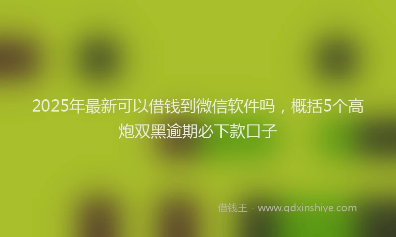 2025年最新可以借钱到微信软件吗，概括5个高炮双黑逾期必下款口子