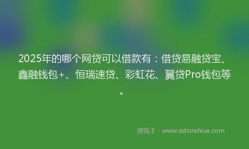 2025年的哪个网贷可以借款有：借贷易融贷宝、鑫融钱包+、恒瑞速贷、彩虹花、翼贷Pro钱包等。