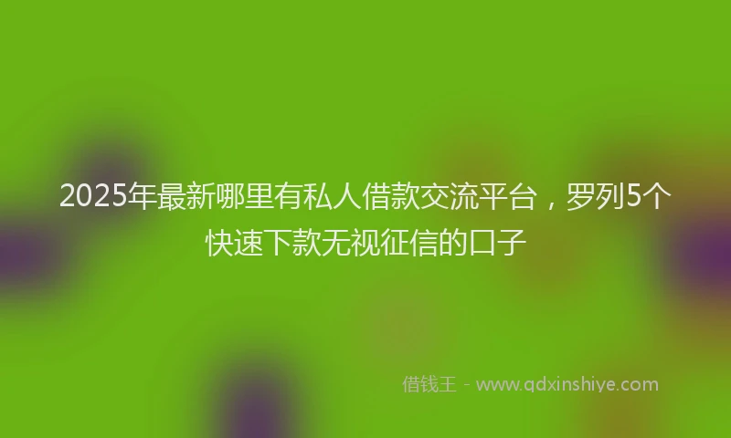 2025年最新哪里有私人借款交流平台，罗列5个快速下款无视征信的口子
