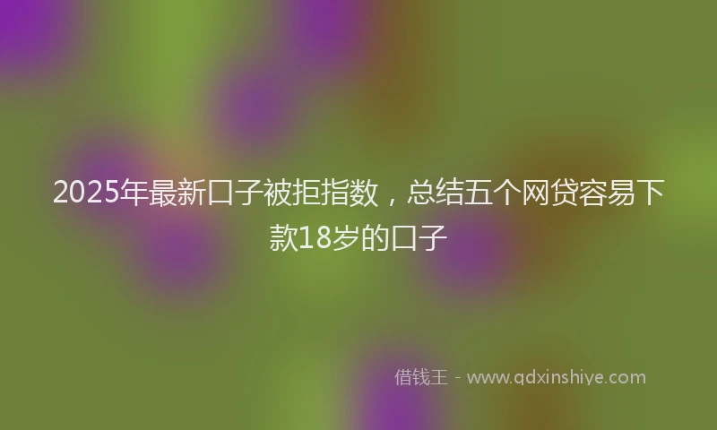 2025年最新口子被拒指数，总结五个网贷容易下款18岁的口子