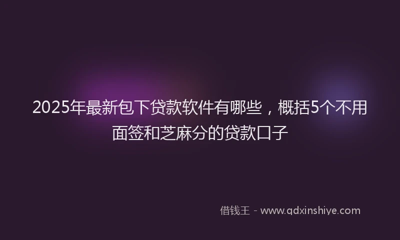 2025年最新包下贷款软件有哪些，概括5个不用面签和芝麻分的贷款口子