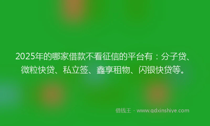 2025年的哪家借款不看征信的平台有：分子贷、微粒快贷、私立签、鑫享租物、闪银快贷等。