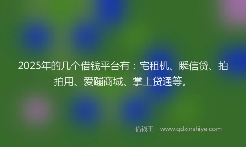 2025年的几个借钱平台有：宅租机、瞬信贷、拍拍用、爱蹦商城、掌上贷通等。