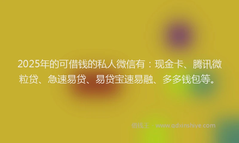 2025年的可借钱的私人微信有：现金卡、腾讯微粒贷、急速易贷、易贷宝速易融、多多钱包等。