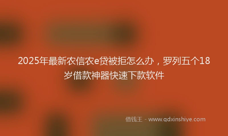 2025年最新农信农e贷被拒怎么办，罗列五个18岁借款神器快速下款软件