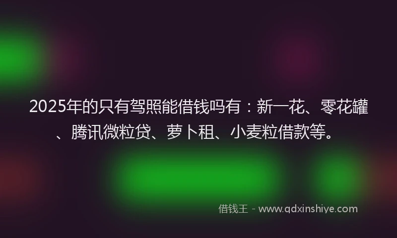 2025年的只有驾照能借钱吗有：新一花、零花罐、腾讯微粒贷、萝卜租、小麦粒借款等。