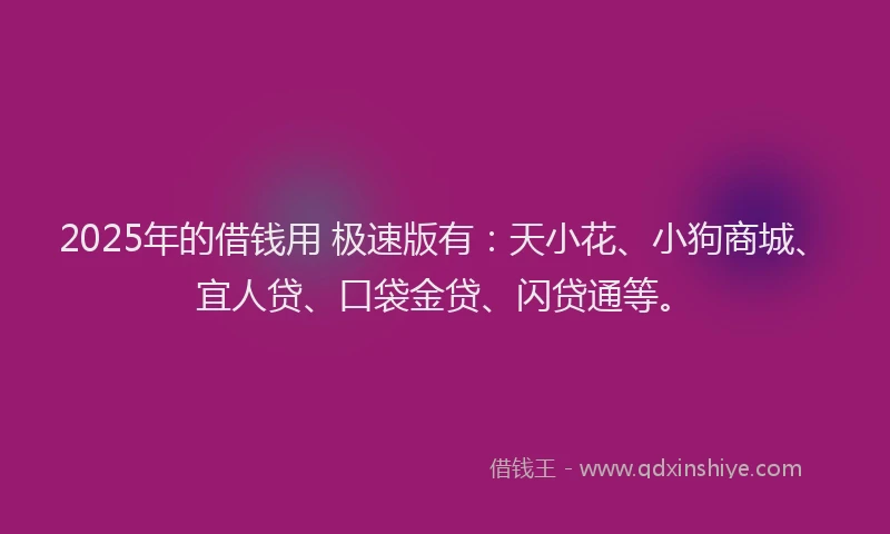 2025年的借钱用 极速版有：天小花、小狗商城、宜人贷、口袋金贷、闪贷通等。