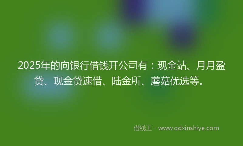 2025年的向银行借钱开公司有：现金站、月月盈贷、现金贷速借、陆金所、蘑菇优选等。