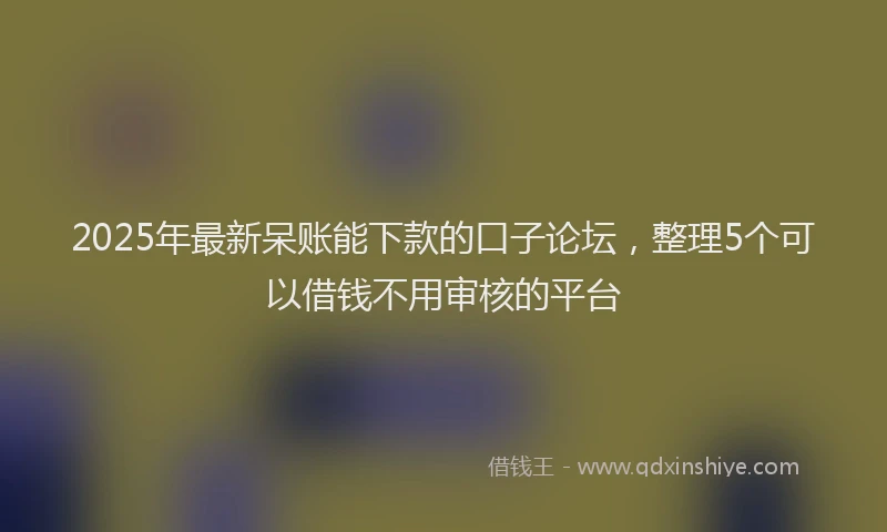 2025年最新呆账能下款的口子论坛，整理5个可以借钱不用审核的平台