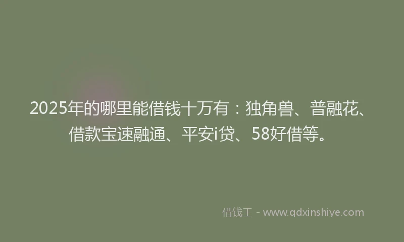 2025年的哪里能借钱十万有：独角兽、普融花、借款宝速融通、平安i贷、58好借等。