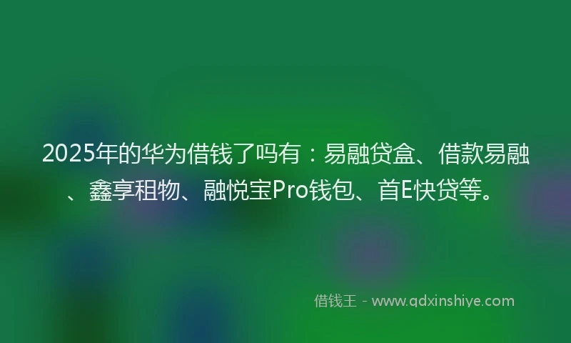 2025年的华为借钱了吗有：易融贷盒、借款易融、鑫享租物、融悦宝Pro钱包、首E快贷等。