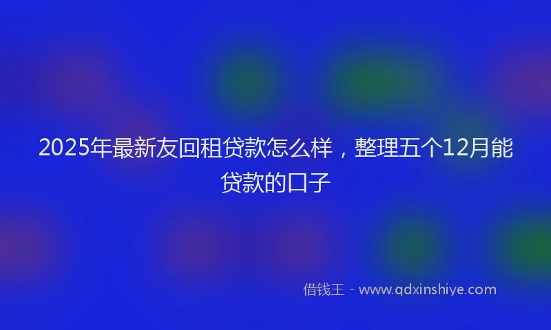 2025年最新友回租贷款怎么样，整理五个12月能贷款的口子